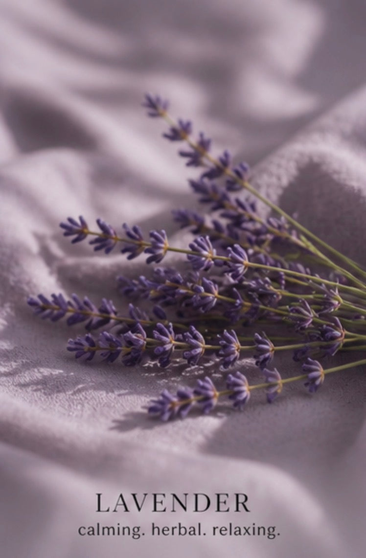 LUMESS Oils – Lavender Hydrating Botanical Oil (50ml)